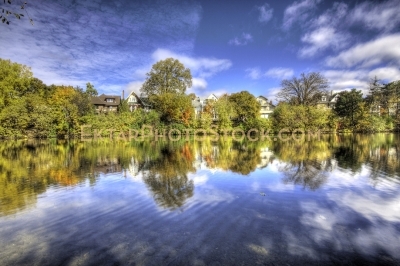 Autumn in Glebe reflections in small pond 15655