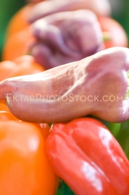 Box of colorful pepers